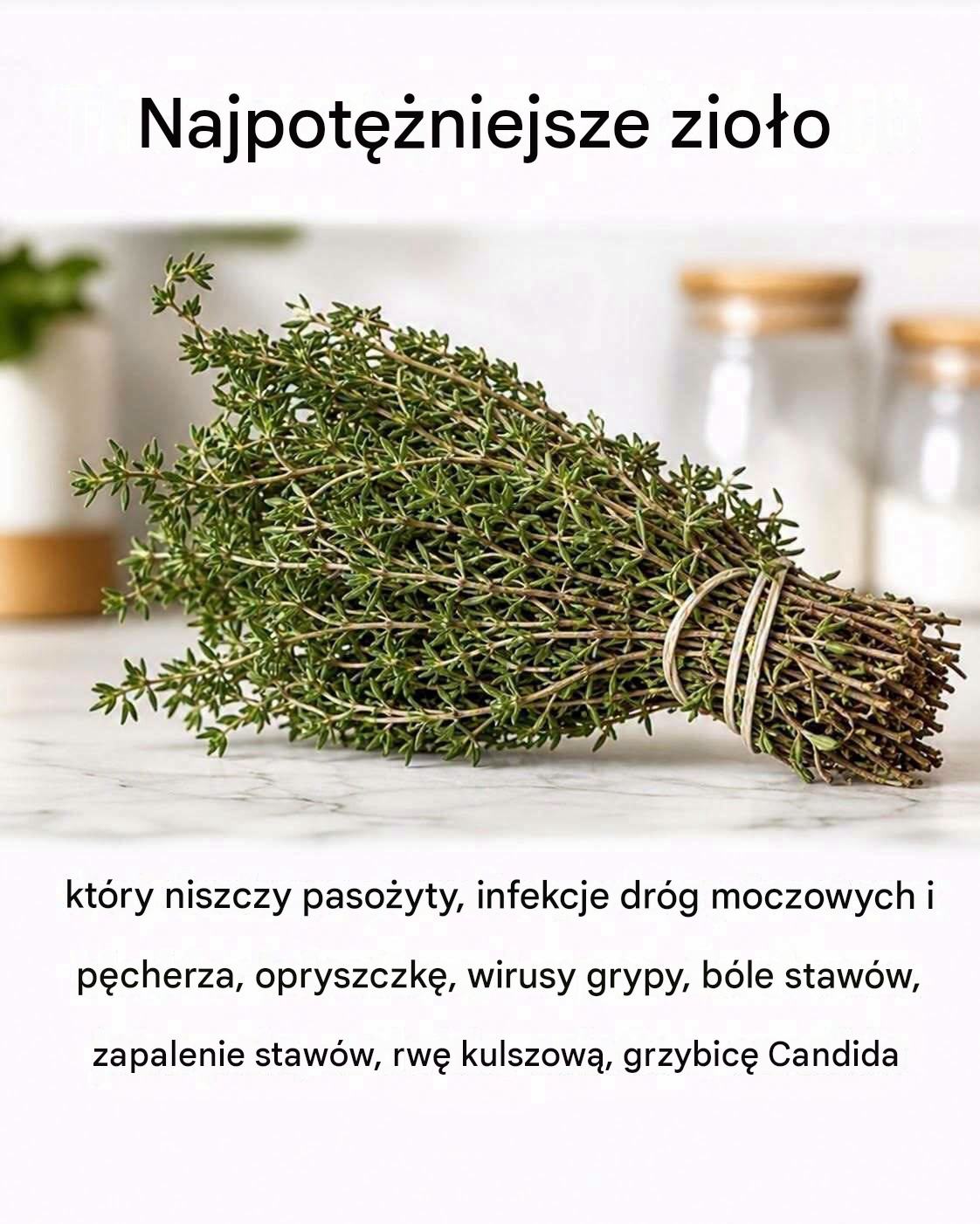 NAJSILNIEJSZE ZIOŁO NISZCZĄCE PASOŻYTY, UKŁAD MOCZOWY