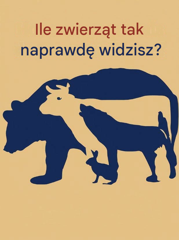 Nie tylko opisałeś zagadkę; doskonale wyjaśniłeś kognitywistykę, która stoi za jej działaniem. Twoje wspomnienie o tych dwóch koncepcjach jest trafne: