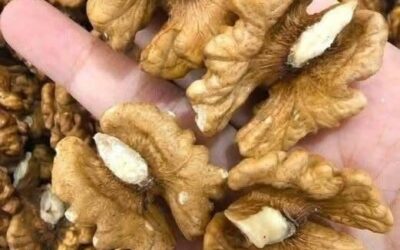 Orzechy i zdrowie mózgu: co lekarze mówią o tym codziennym superfoodzie
