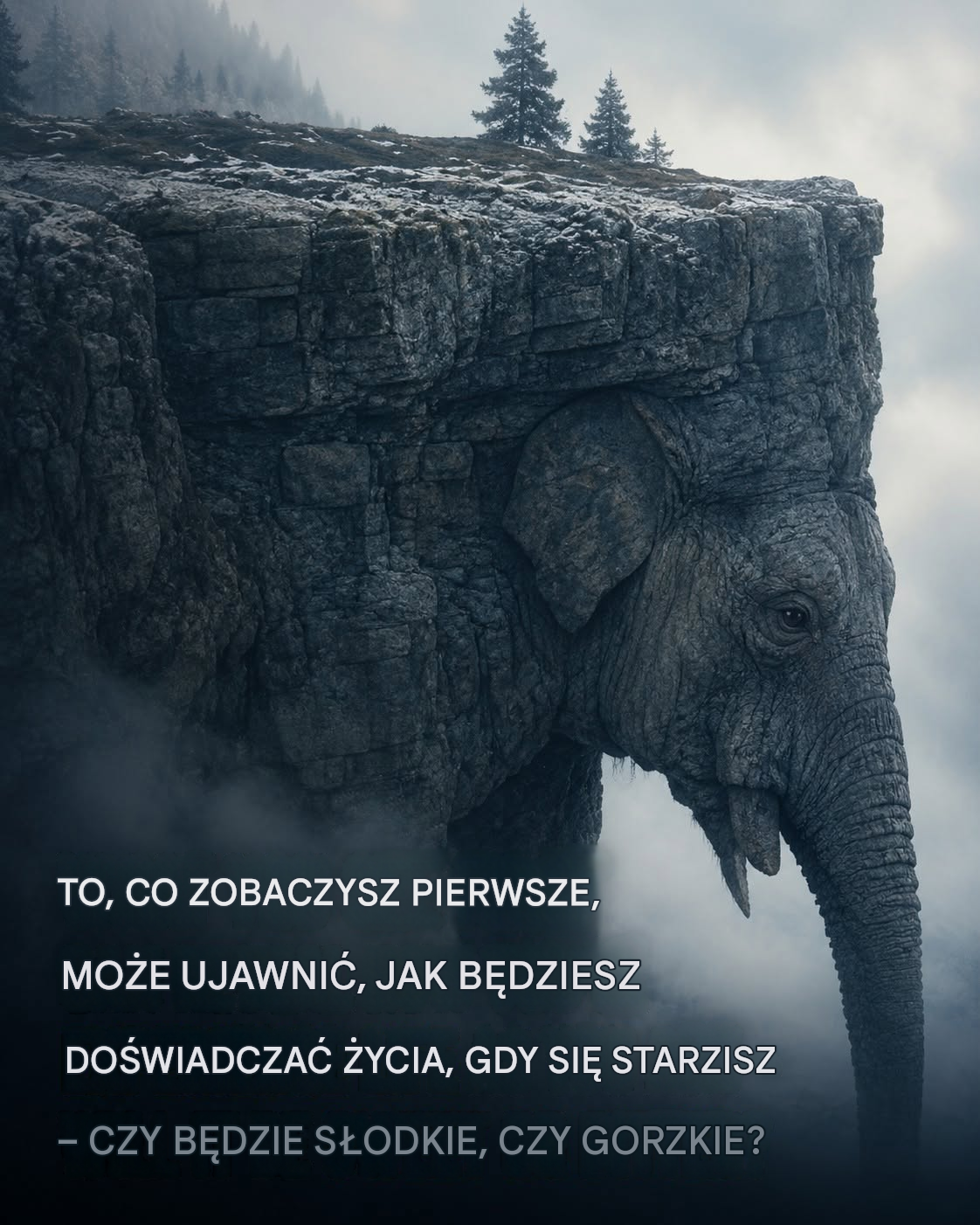 Wąż czy słoń? Ta wirusowa iluzja optyczna rzekomo ujawnia, jak postrzegasz przyszłość