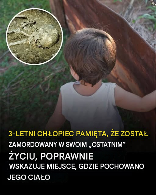 Maluch twierdzi, że pamięta, że został zamordowany w poprzednim życiu i wskazuje miejsce swojego pochówku Temat: AAA