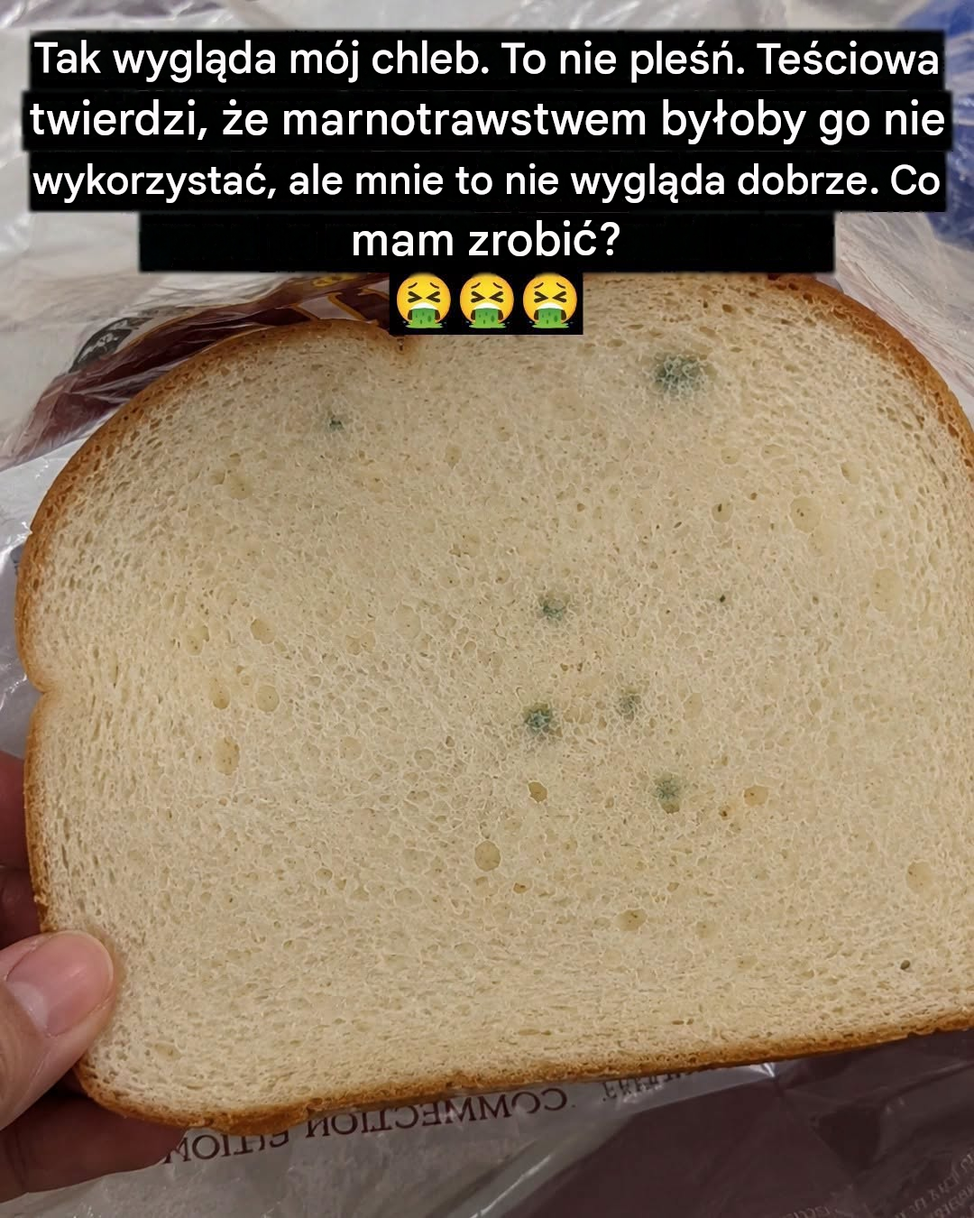 Czy czerstwy chleb jest bezpieczny do spożycia? Nauka, bezpieczeństwo i genialne sposoby na jego ożywienie