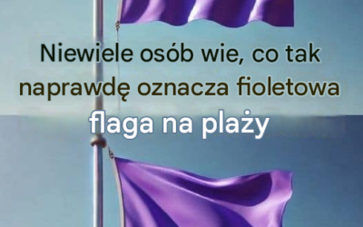 Dlaczego na plaży może powiewać fioletowa flaga