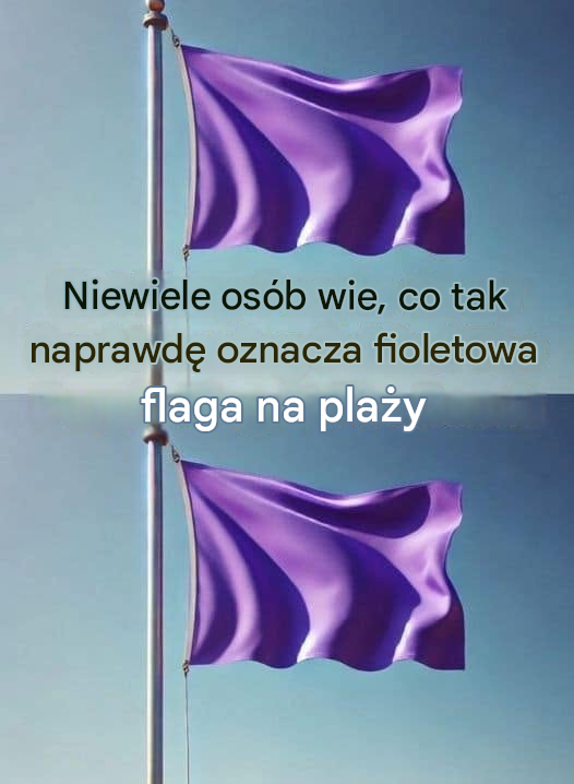 Dlaczego na plaży może powiewać fioletowa flaga