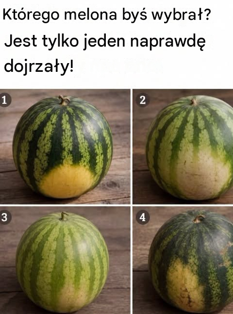 Jak wybrać najsłodszego arbuza: proste oznaki, na które należy zwrócić uwagę przed zakupem