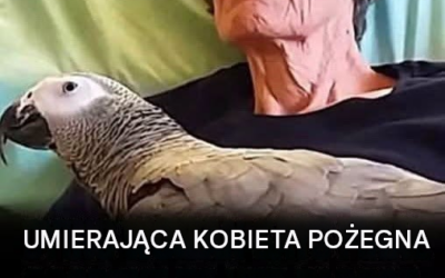 Umierająca kobieta żegna się na zawsze ze swoją papugą: natychmiastowa reakcja ptaka wzrusza nas do łez