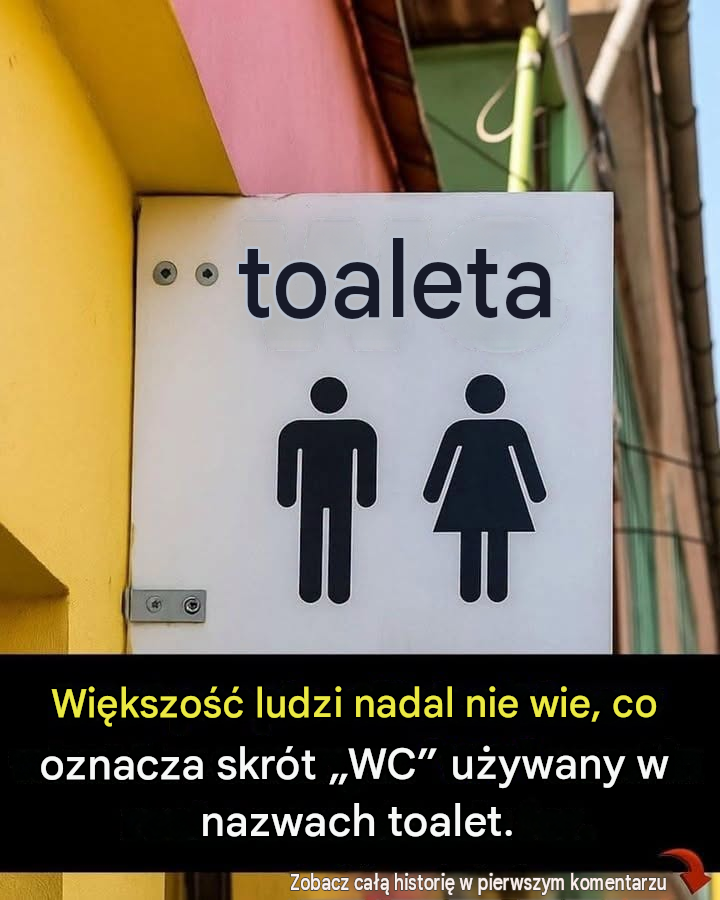 Większość ludzi nadal nie wie, co oznacza skrót „WC” używany w toaletach