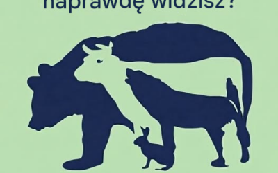 Ile zwierząt tak naprawdę widzisz? Iluzja optyczna, która rzuca wyzwanie Twoim oczom
