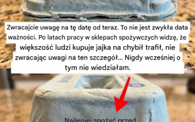 Delikatny, poparty naukowo przewodnik po kodach na opakowaniach jajek: Zrozumienie świeżości i bezpieczeństwa z zachowaniem spokoju i jasności