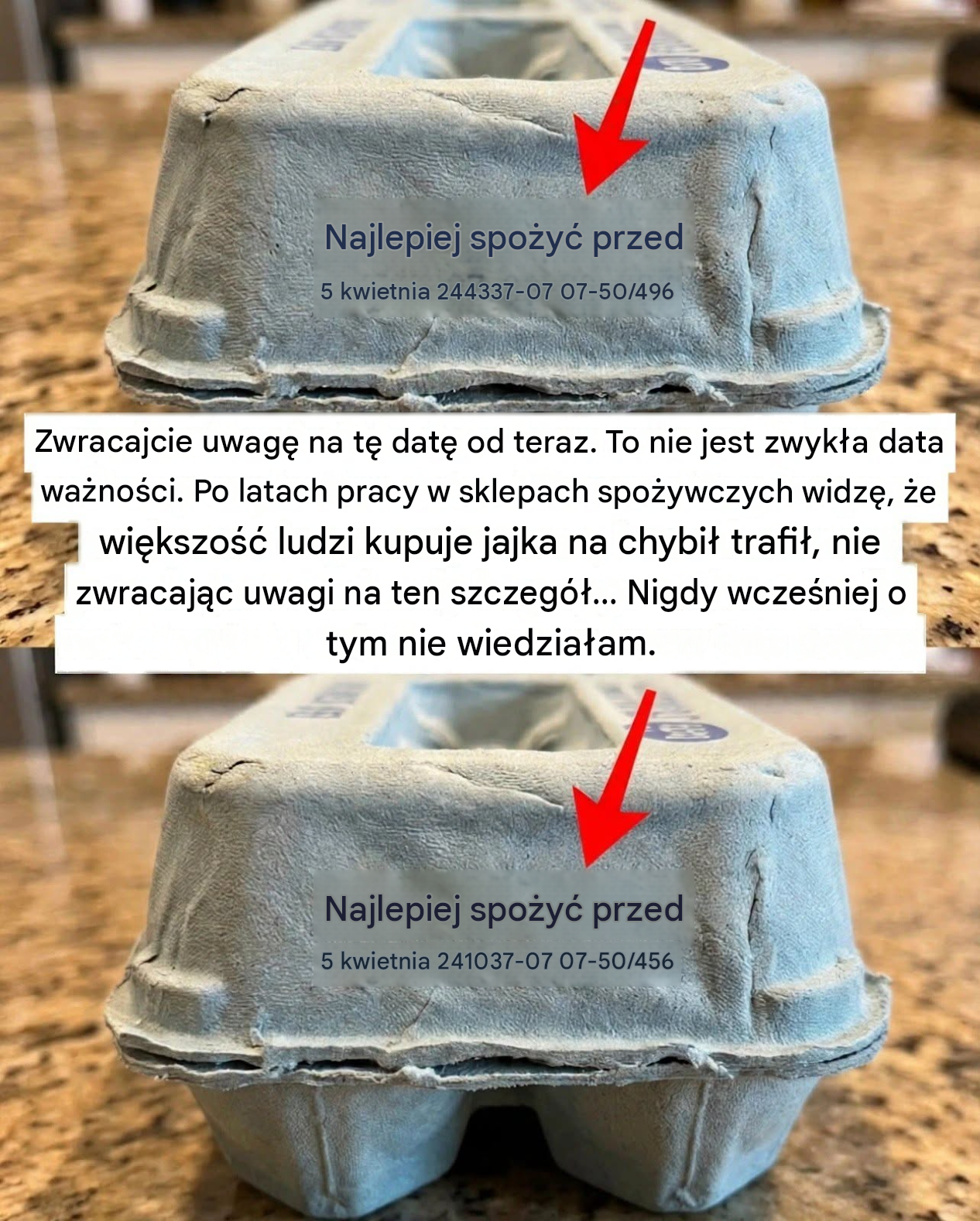 Delikatny, poparty naukowo przewodnik po kodach na opakowaniach jajek: Zrozumienie świeżości i bezpieczeństwa z zachowaniem spokoju i jasności