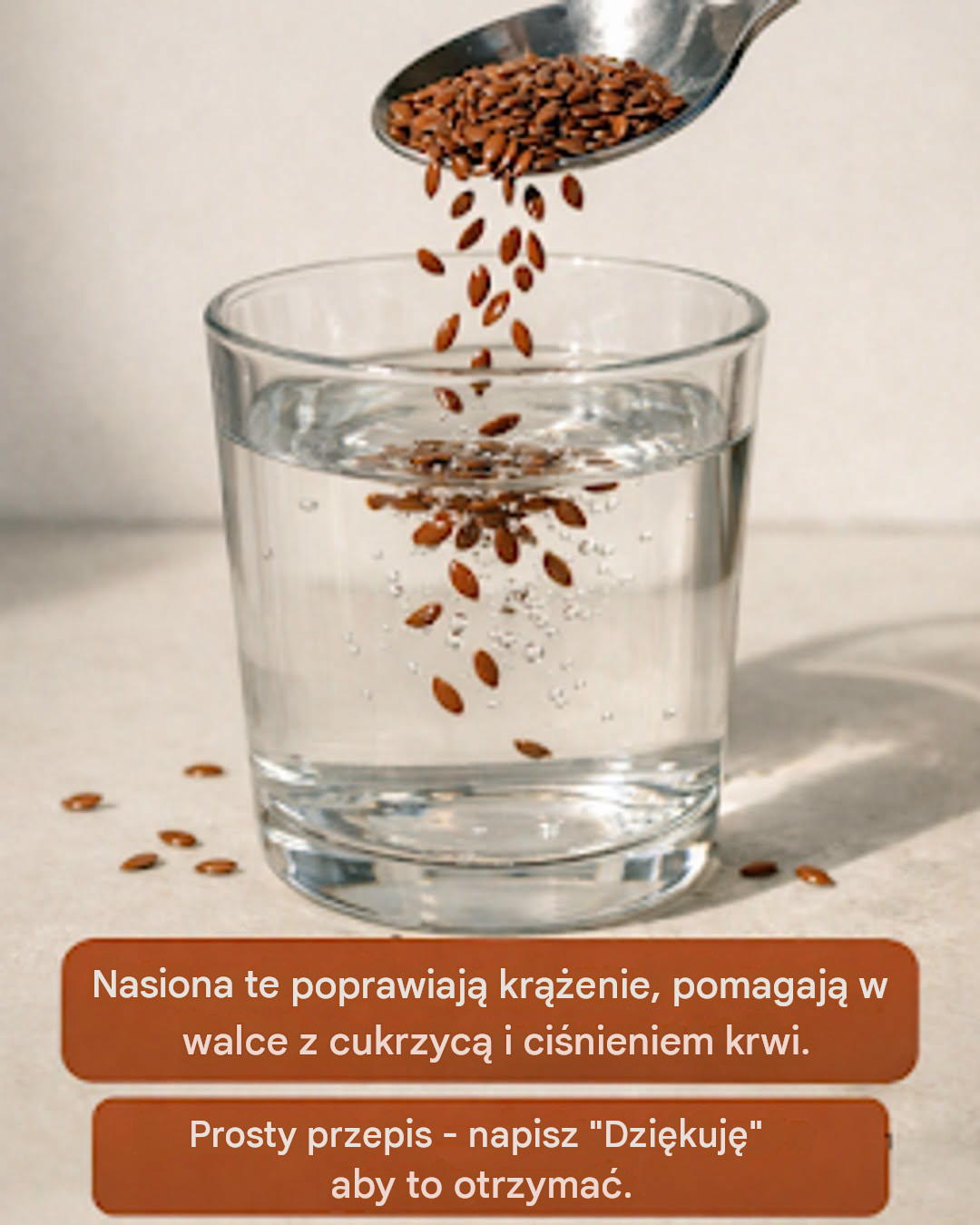 5 nasion