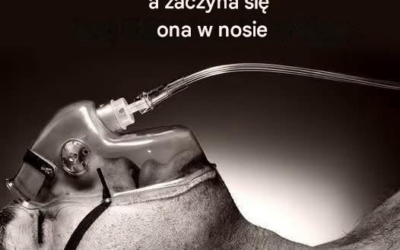 Badania wykazały, że organizm wie, kiedy zbliża się śmierć, a wszystko zaczyna się w nosie