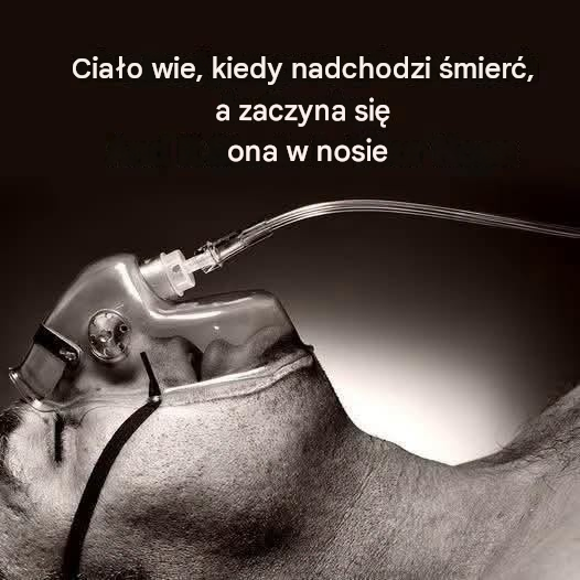Badania wykazały, że organizm wie, kiedy zbliża się śmierć, a wszystko zaczyna się w nosie