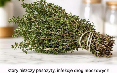 NAJSILNIEJSZE ZIOŁO NISZCZĄCE PASOŻYTY, UKŁAD MOCZOWY