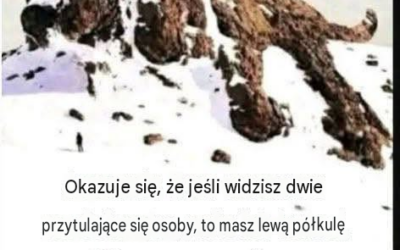 Badanie wizualnego skanowania mózgu…