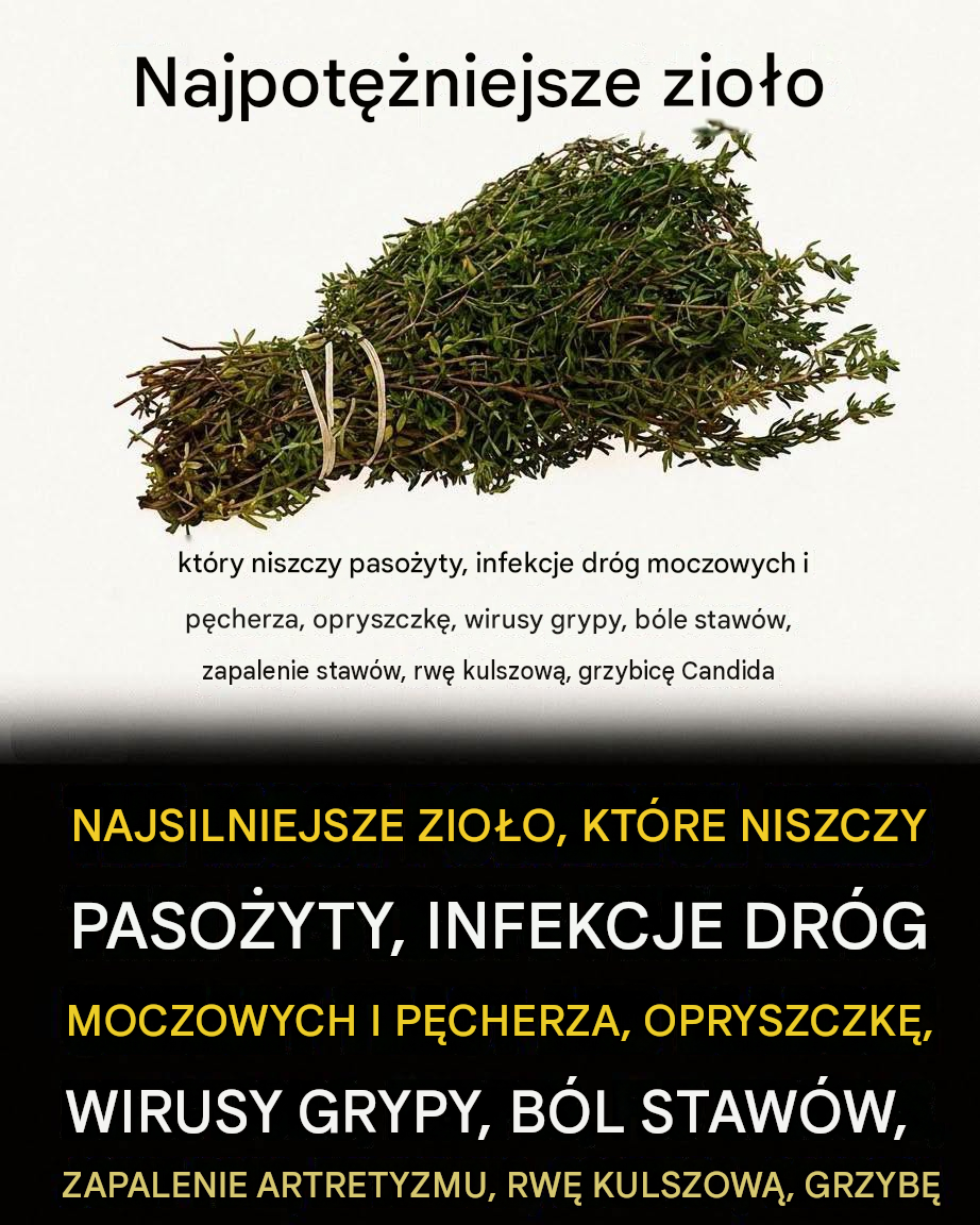 Czy jedno zioło naprawdę może zniszczyć pasożyty i zwalczyć infekcje dróg moczowych? Oto, co mówi nauka