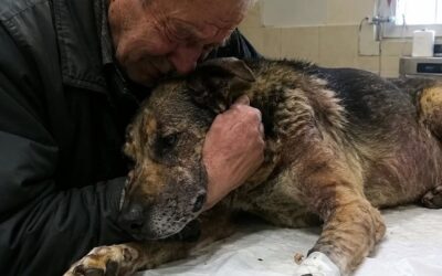 Starszy mężczyzna przyprowadził swojego psa, aby go uśpić, ponieważ nie było go stać na leczenie… Ale weterynarz zrobił coś, co sprawiło, że wszyscy w klinice mieli łzy w oczach