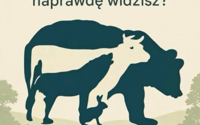 🐻🐄🐺Jakie zwierzęta widzisz? Twoja odpowiedź może ujawnić Twoje szczęście!