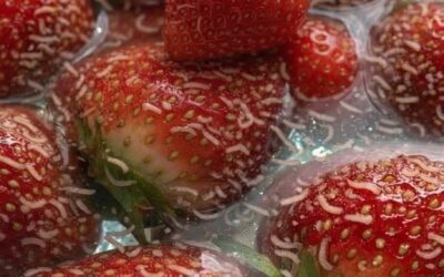 Zanim zjesz truskawki, wypróbuj ten prosty test… Możesz zauważyć coś dziwnego