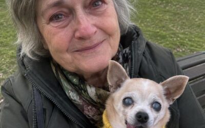 Właściciel kawiarni wyrzucił mnie i mojego starego chihuahua ze swojej „przyjaznej zwierzętom” kawiarni, bo zamówiłem tylko kawę – wtedy wszedł jakiś nieznajomy i zadał mu pytanie, które sprawiło, że zbladł