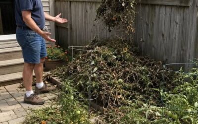 Poprosiłem szwagra, żeby przestał wyrzucać odpady ogrodowe do mojego ogrodu, ale on nadal to robiłPoprosiłem szwagra, żeby przestał wyrzucać odpady ogrodowe do mojego ogrodu, ale on nadal to robił