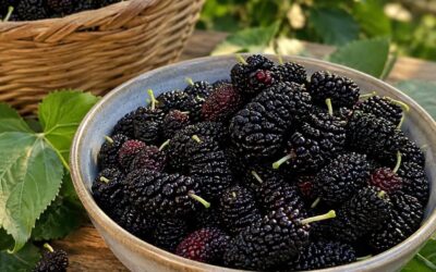 Hurma: zaskakujący jesienny owoc, który naturalnie dba o Twoje oczy i serce