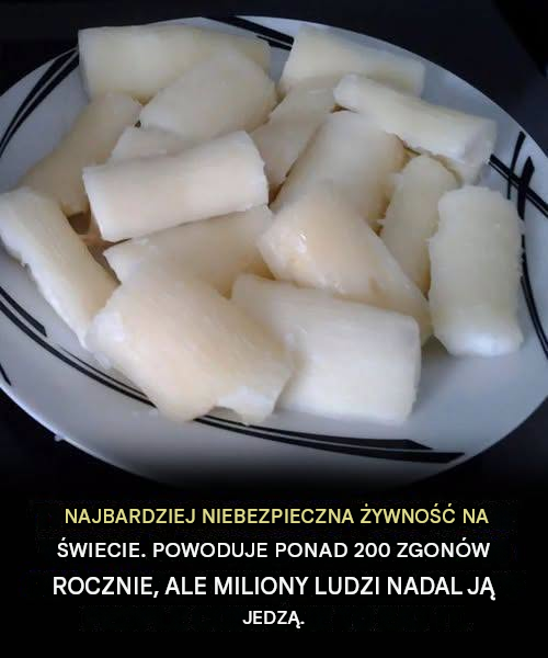 Mimo że jest to „najbardziej śmiercionośna żywność na świecie”, nadal spożywa ją 500 milionów osób, a rocznie pochłania ona ponad 200 ofiar śmiertelnych