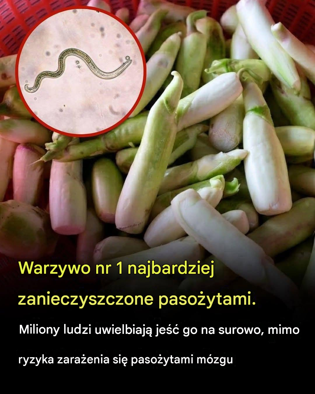 Warzywo najbardziej skażone pasożytami? Eksperci ostrzegają przed ukrytymi zagrożeniami