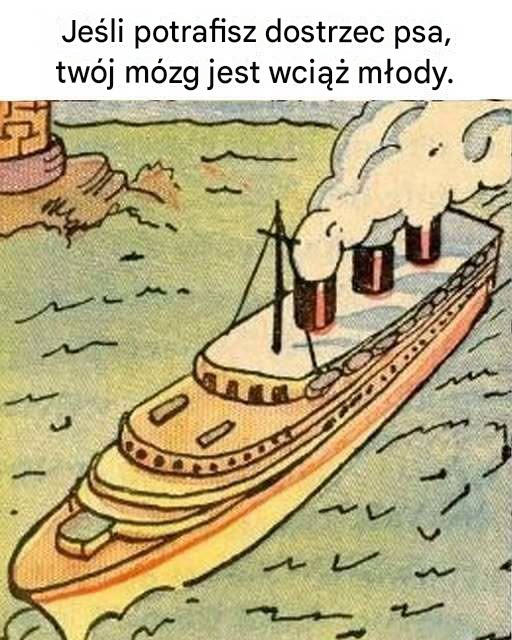 Jeśli potrafisz dostrzec psa, twój mózg jest wciąż młody.