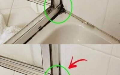 Najszybszy sposób na pozbycie się pleśni silikonowej w prysznicu
