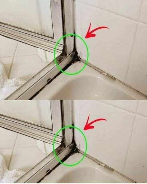 Najszybszy sposób na pozbycie się pleśni silikonowej w prysznicu