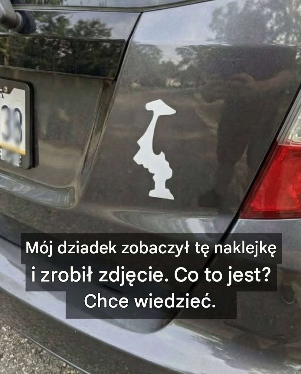 Dlaczego kierowcy umieszczają na swoich samochodach tę naklejkę „do góry nogami”?