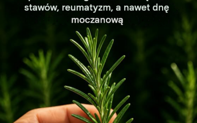 Rozmaryn: codzienne zioło, które czyni cuda dla ciała i umysłu