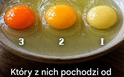 Które jajko pochodzi od zdrowego kurczaka? Prawda o kolorze żółtka
