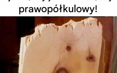 Które zwierzę widzisz jako pierwsze? Królika, rybę czy psa?