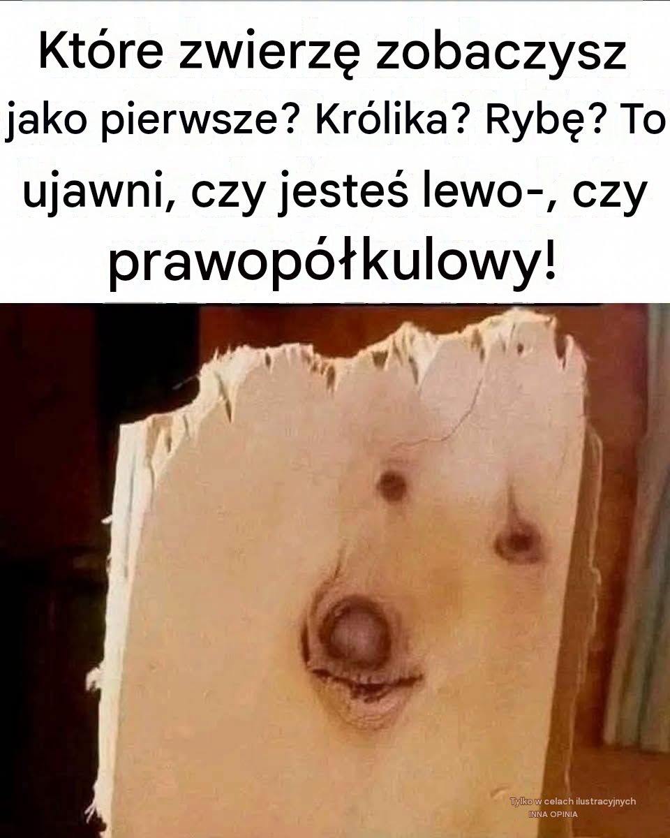 Które zwierzę widzisz jako pierwsze? Królika, rybę czy psa?