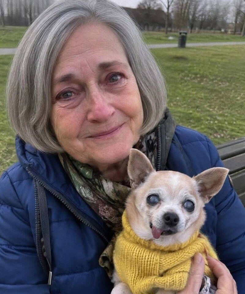 Właściciel kawiarni wyrzucił mnie i mojego starego chihuahua ze swojej „przyjaznej zwierzętom” kawiarni, bo zamówiłem tylko kawę – wtedy wszedł jakiś nieznajomy i zadał mu pytanie, które sprawiło, że zbladł