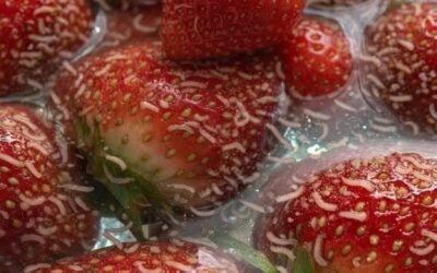 Wypróbowałem sztuczkę z truskawkami w słonej wodzie – oto, co odkryłem Włożyłem