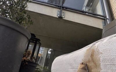 Mój sąsiad z góry dwa razy dziennie rzucał zużyte torebki herbaty na mój balkon – postanowiłam więc nauczyć go, co oznacza szacunek dla cudzego domu