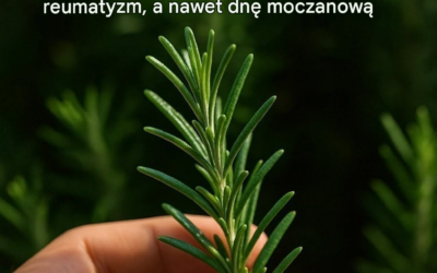 Chcesz mniej much i komarów? Te liście pomogą Ci naturalnie je odstraszyć