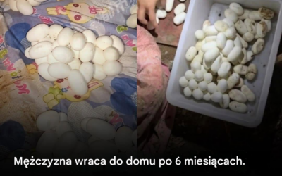 Mężczyzna wraca do domu po sześciu miesiącach i jest zszokowany, gdy odkrywa, że ​​jego łóżko jest pokryte ponad 100 tajemniczymi jajami