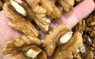 Lekarze ujawniają, że jedzenie orzechów włoskich powoduje
