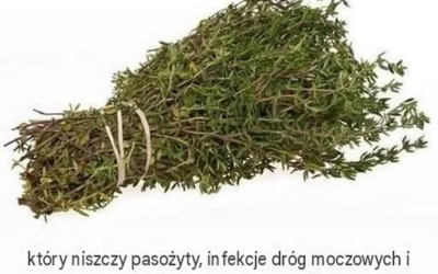 NAJSILNIEJSZE ZIOŁO, KTÓRE NISZCZY PASOŻYTY, UKŁAD MOCZOWY…