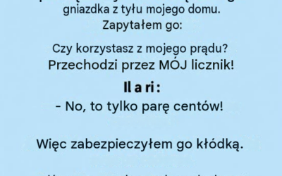 Odkrywa, że ​​kabel telefoniczny jej sąsiada jest podłączony do jej domu: to, co wydarzyło się później, jest cenną lekcją życiową.