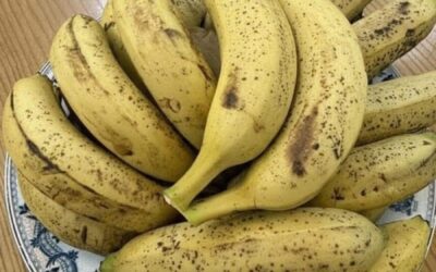 Lekarze ujawniają, że jedzenie bananów zaraz po przebudzeniu powoduje…