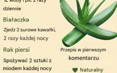 Aloes może oferować szereg korzyści zdrowotnych – oto, co powinieneś wiedzieć
