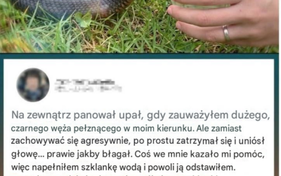 Dziki wąż „błagał” mnie o wodę — ale kiedy kontrola zwierząt zdała sobie z tego sprawę…