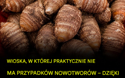 Wioska z prawie zerową liczbą przypadków raka? Skromne warzywo korzeniowe, które przykuło uwagę naukowców