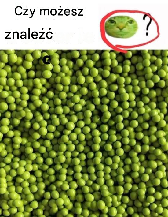 Kot ukryty wśród groszku: wizualne wyzwanie, które doprowadza do szaleństwa (i jest dobre dla mózgu)