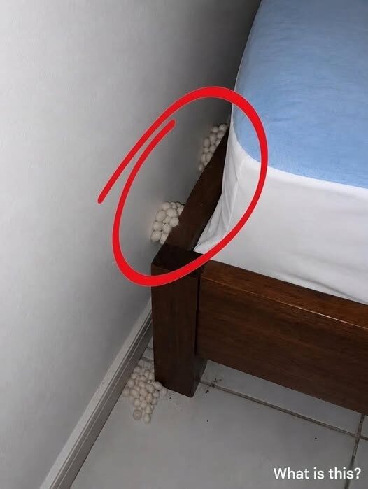 Wróciłem do domu wyczerpany, licząc na spokojną noc, ale pewien szczegół uświadomił mi, że coś jest nie tak.